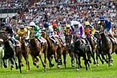 Horse Racing in Prague and Czech Republic