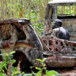 Prague Paintball War Games